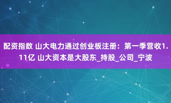 配资指数 山大电力通过创业板注册：第一季营收1.11亿 山大资本是大股东_持股_公司_宁波