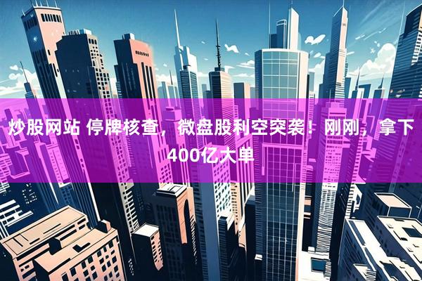 炒股网站 停牌核查，微盘股利空突袭！刚刚，拿下400亿大单